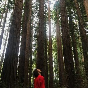 Meet your Posher, Dante